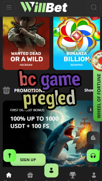 BC Game Pregled - Comprehensive Platform Review-vz72fvrf.com